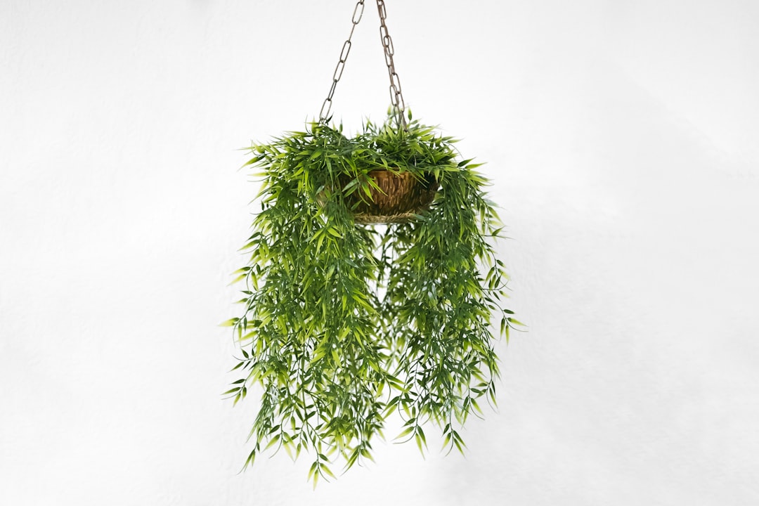 4. Create 10 “evergreen hooks” you can reuse all year - fashion influencer content strategy