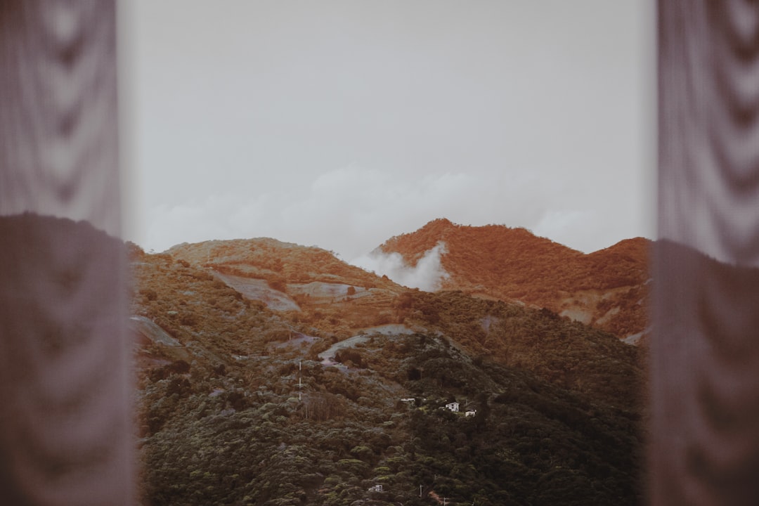 Text overlays, captions, and accessibility best practices - turn photos into videos